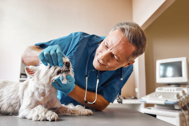 Best Emergency Treatment for Dental Infections or Abscesses in Suwanee, GA